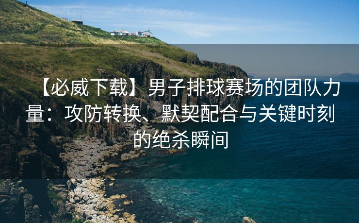 【必威下载】男子排球赛场的团队力量：攻防转换、默契配合与关键时刻的绝杀瞬间